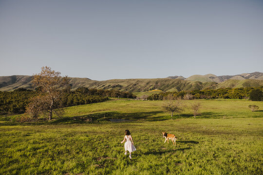 Little Girl and Dog in a Field 
