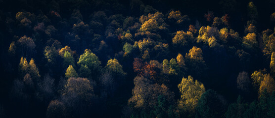 PALETA DE OTO&Ntilde;O