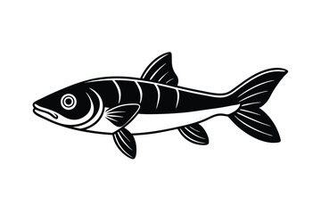 illustration of a snook fish
