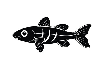 illustration of a siamese fish