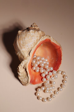 seashell with a crumbling string of white pearls