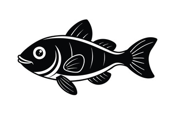 illustration of a barramundi fish