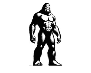 Fototapeta premium Standing bigfoot figure with muscular build, broad shoulders, and distinct elongated limbs. Clipart image isolated on white background 