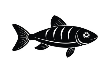 illustration of a  salmon fish