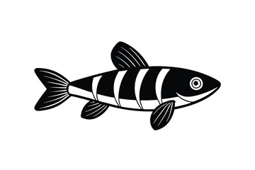 illustration of a danio fish