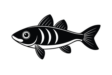 Fototapeta premium illustration of a snook fish