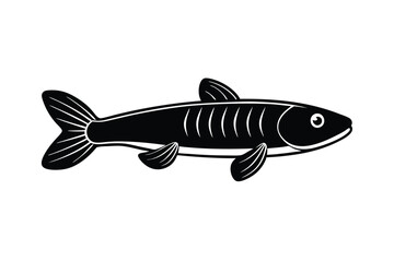 illustration of a bichir fish