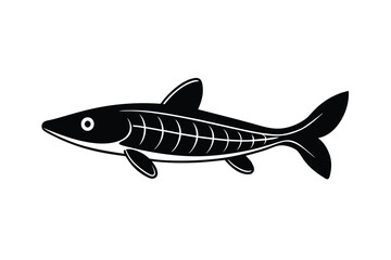 illustration of a sturgeon fish