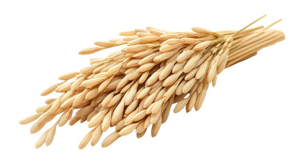 Golden ears of rice tied together, showcasing the beauty of harvest season in a serene setting