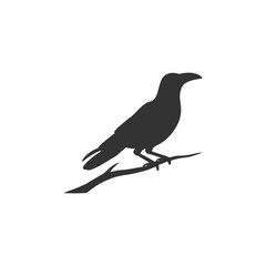 Raven Silhouette Illustration, Black Bird Sketch, Isolated
