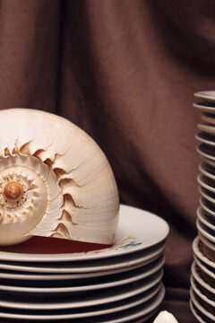 Still life composition with stacked ceramic plates,  seashells