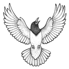 Raven Hand-Drawn Vector, Graphic Style, Cartoon Illustration, Black and White, Sketch Style, Isolated on White Background