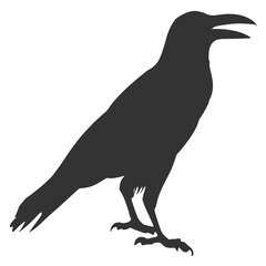 Raven Silhouette Illustration, Black Bird Sketch, Isolated