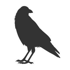 Raven Silhouette Illustration, Black Bird Sketch, Isolated