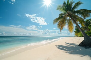 Fototapeta premium Palm Tree Paradise: Serene Beach Scene Under a Sunny Sky