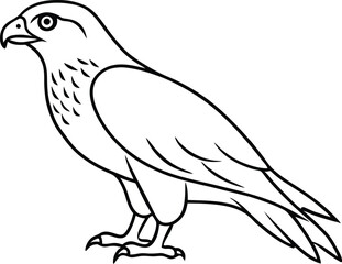 Obraz premium Kids Coloring Book Vector illustration of Eagle Line Art