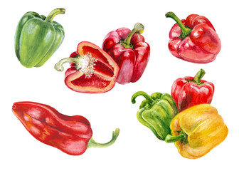 Various bell peppers. Red, green, yellow sweet peppers, fresh organic vegetable for cooking and healthy eating. Bright watercolor illustration set on white background.
