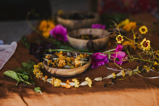 Dried Flowers