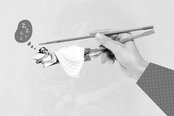 Creative photo collage of young dreaming chilling sleep take nap relaxed girl chopsticks hold...