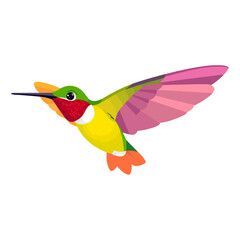 Fototapeta premium Myna bird vector with a white background.