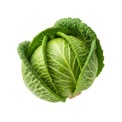 Obraz premium A fresh, green cabbage with tightly packed leaves, isolated on a transparent background PNG, highlighting its crisp texture and vibrant color.