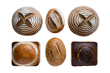 Sourdough Bread: Variety & Freshness