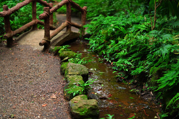 Obraz premium creative little bridge in the forest