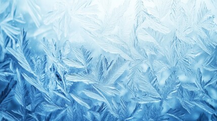 Obraz premium Stunning Ice Patterns on a Winter Window