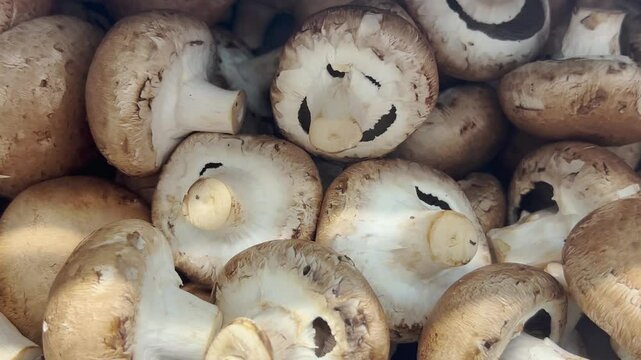 fresh mushrooms background in supermarket
