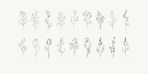 Set of hand drawn flowers, branches and leaves in line art style. Collection of sketches of botanical elements. Vector illustration for tattoo, wedding invitation, wallpaper, save the date card.