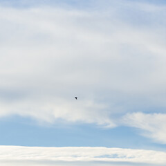 Background, texture with image of sky with clouds