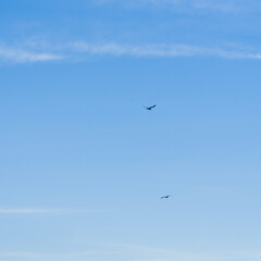 Background, texture with image of sky with clouds