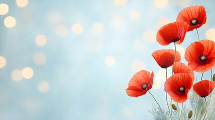 Vibrant red poppies with delicate stems on a soft blue bokeh background. Concept of natural beauty, elegance, and tranquility.