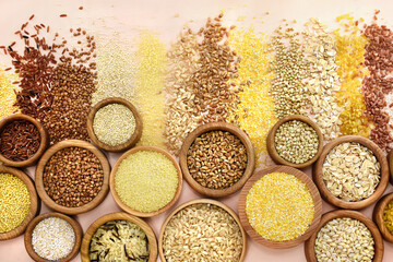 Colorful mix of grain varieties: oat and wheat, rice and millet, buckwheat and barley, quinoa and polenta. Food ingridients for healthy diet background, selective focus