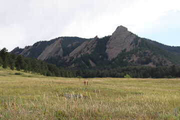 Colorado Landscape