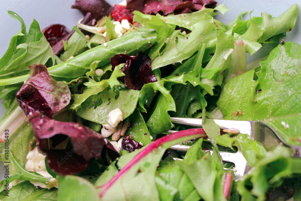 Wall mural close up of healthy green leaf blend vegetarian salad with feta cheese and seeds and vinaigrette dressing backdrop