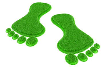 Grass human footprints, 3D rendering isolated on transparent background