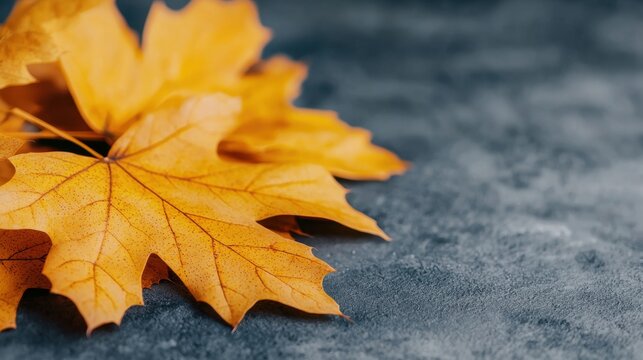 A bunch of yellow leaves laying on top of a table