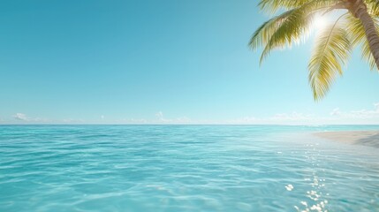 A palm tree on a beach next to the ocean