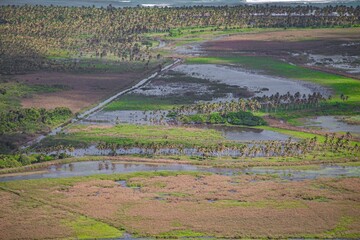 Aerial view of lush wetlands and palm trees in dominican republic