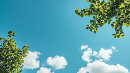 Fototapeta premium Lush green leaves frame a vibrant blue sky with fluffy white clouds.