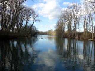 Tranquil river scene with tree reflections.