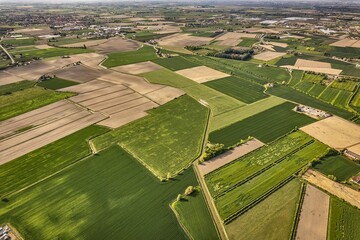 Cultivated land forming geometric shapes in rural landscape aerial view