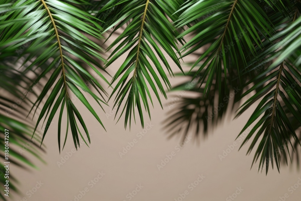 Poster a close-up shot of a palm tree branch with fronds and leaves