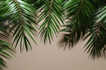 A close-up shot of a palm tree branch with fronds and leaves