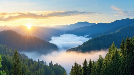 Obraz premium A view of a mountain range covered in fog and trees