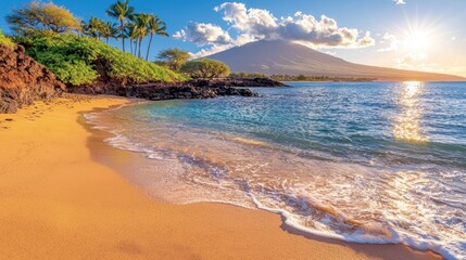 Obraz premium A sandy beach with palm trees and a mountain in the background