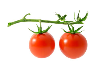 Ripe fresh tomatoes on a branch isolated on white background