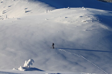 Skier in field