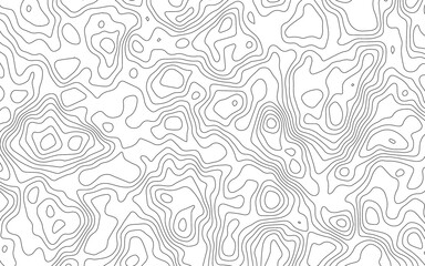 Topography background. Vector banner. Topography background. Vector geographic contour map. Topographic map patterns, topography line